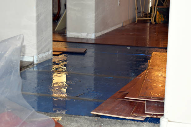 Professional Water Extraction technician working in Wild Rose, WI